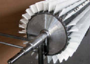 roller-brush1003145.jpg