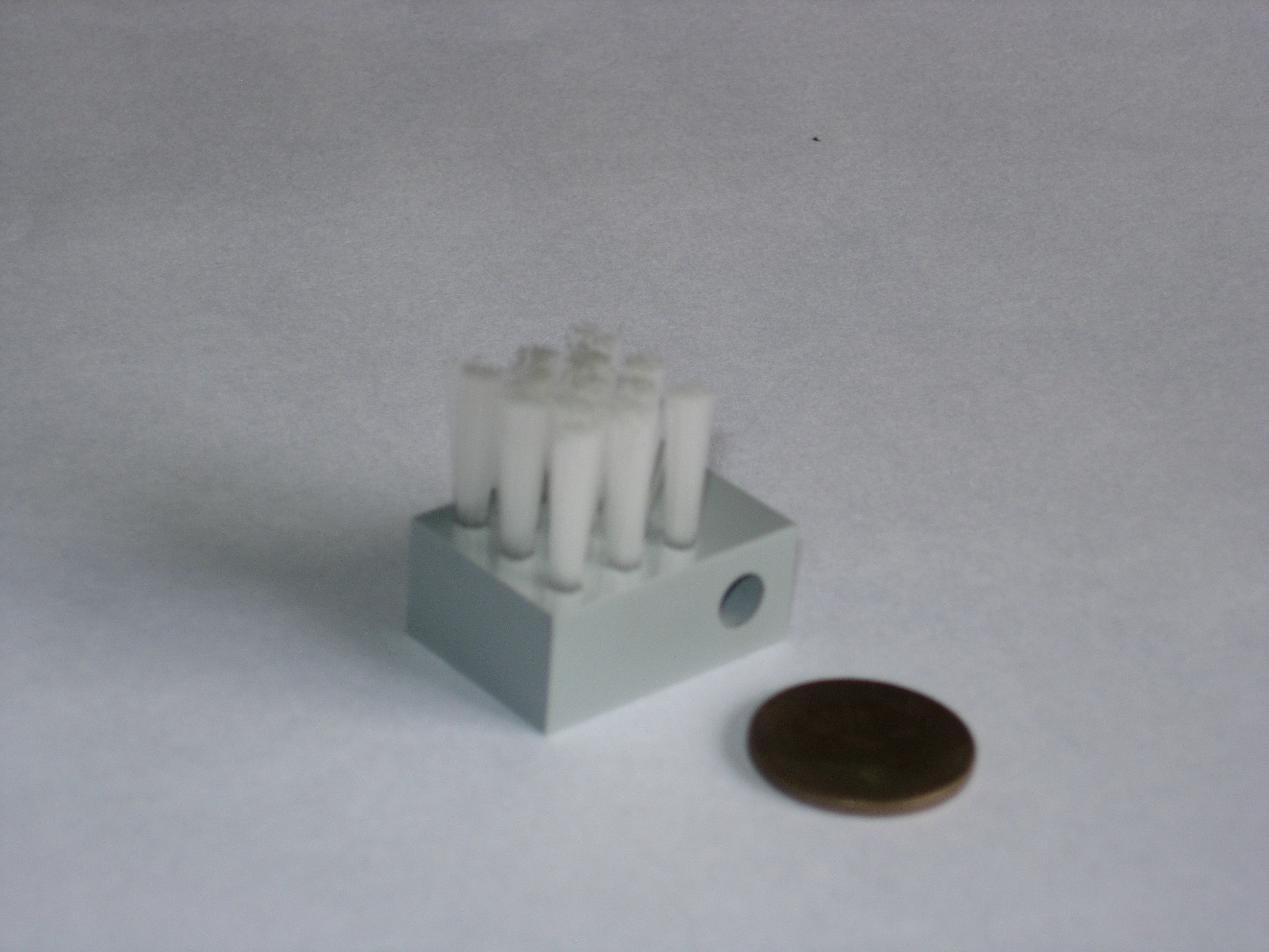 Plant01.jpg