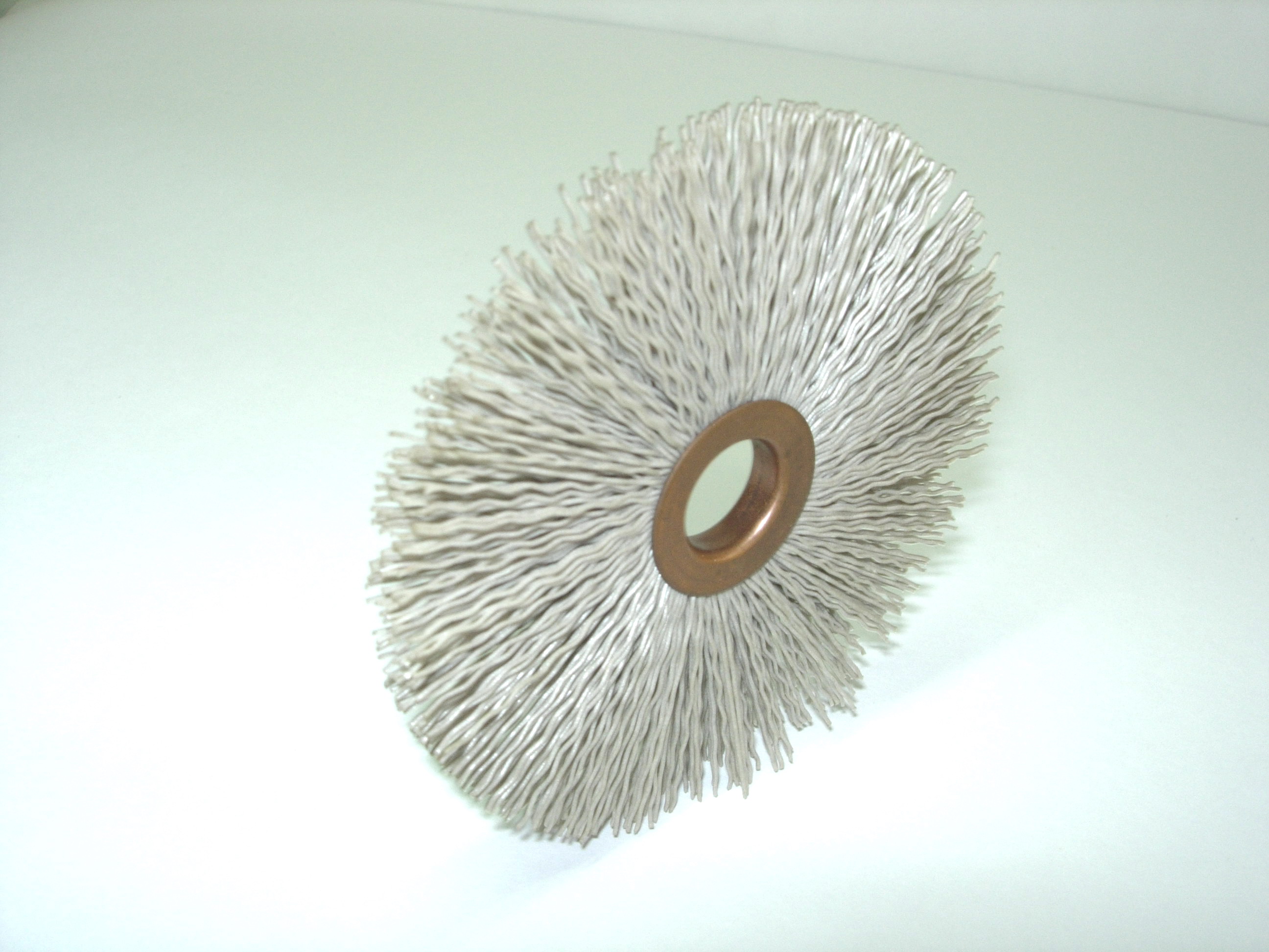 elecbrush06.jpg